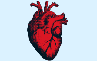 digital image of a human heart